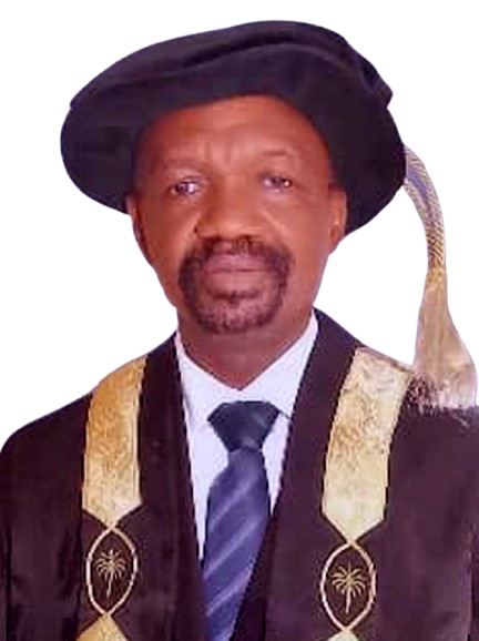 Vice Chancellor of University of Sierra Leone
